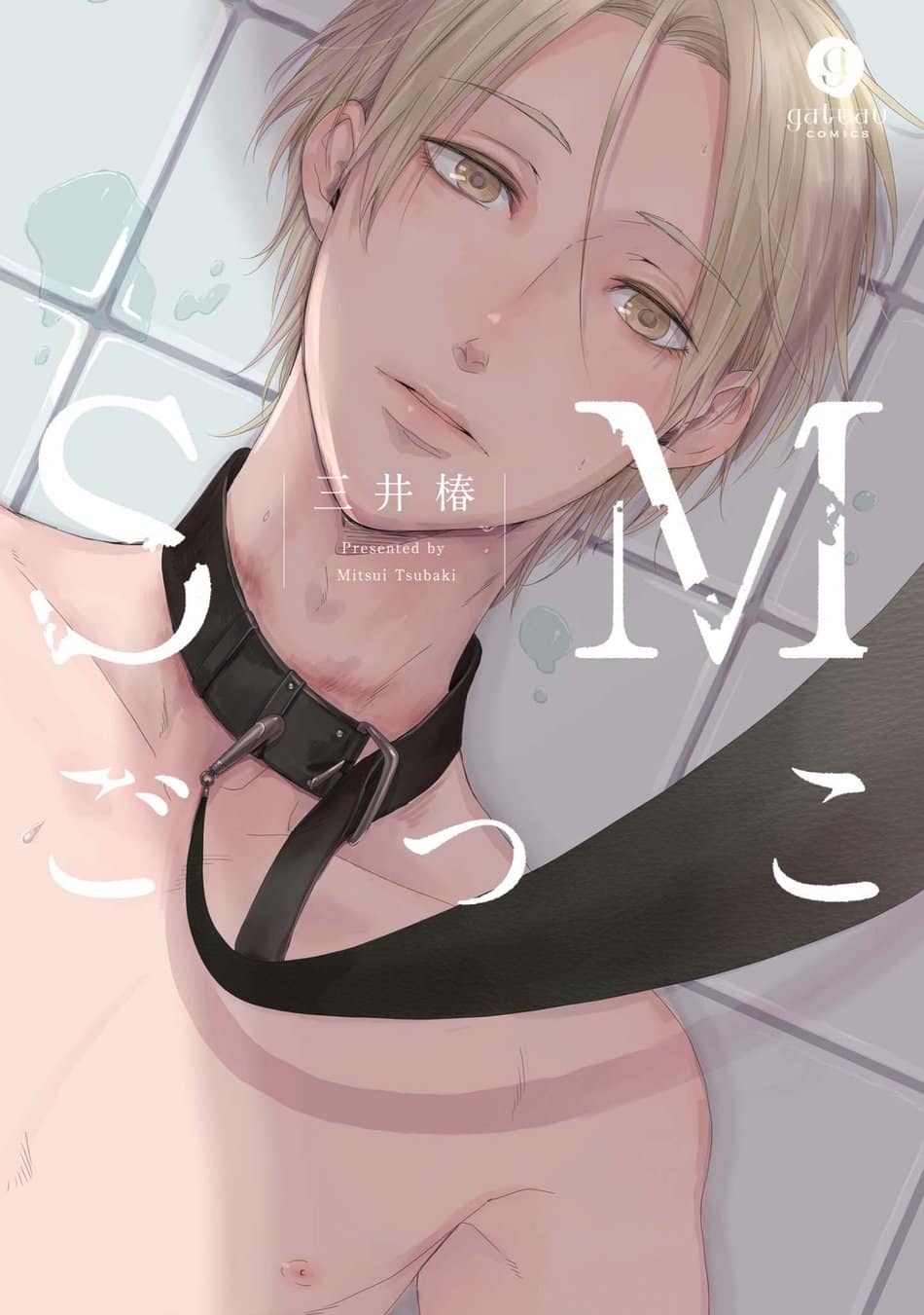 อ่านมังงะSM Gokko