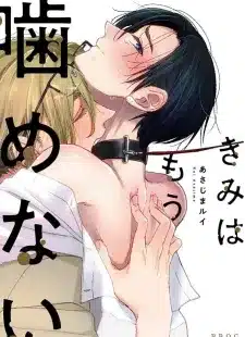 อ่านมังงะKIMI WA MOU KAMENAI