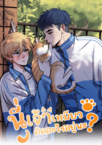 อ่านมังงะนี่เจ้าเหมียวคิดอะไรอยู่นะ