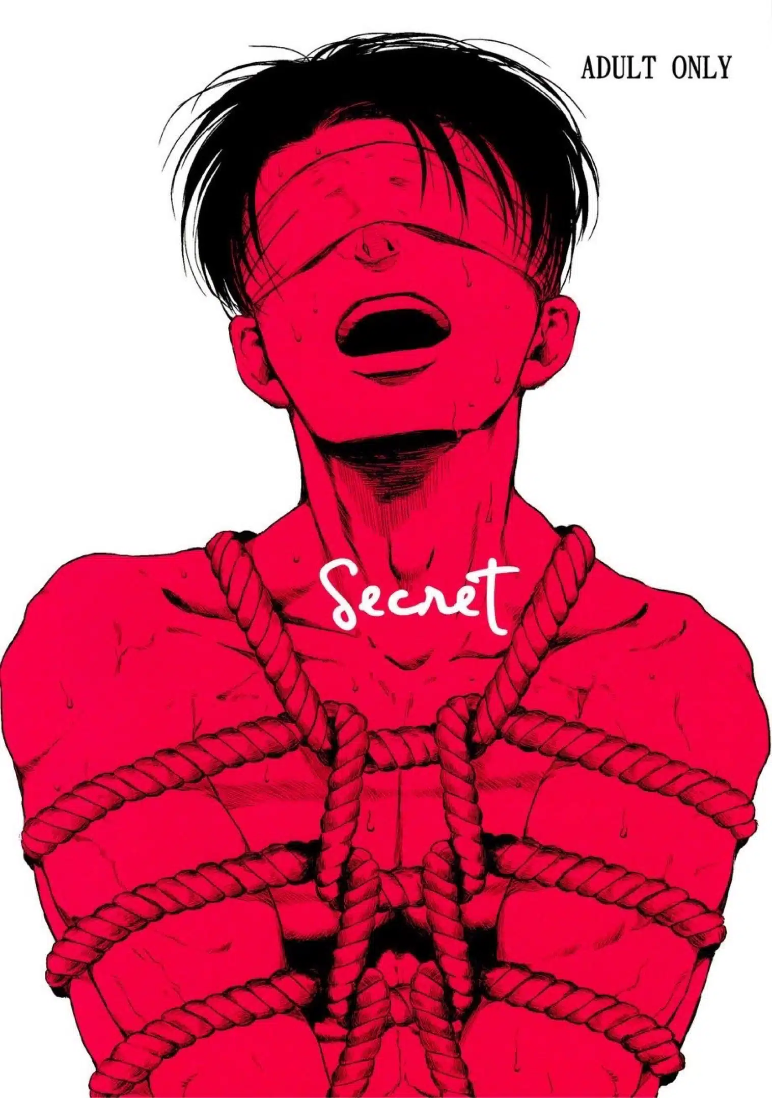 อ่านมังงะShingeki no Kyojin dj – Secret